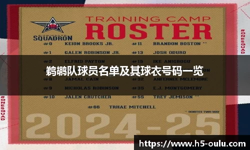 鹈鹕队球员名单及其球衣号码一览